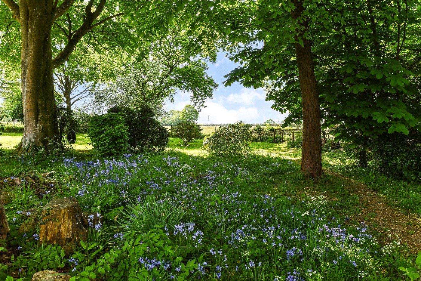 Garden